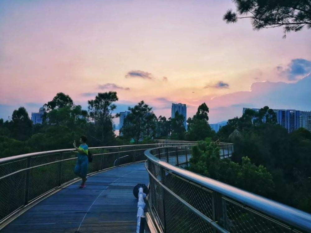 1605858741118916.png 1605858741118916.png