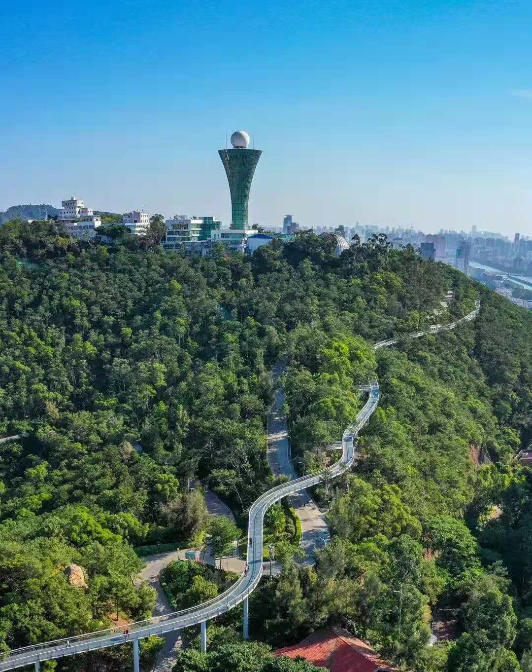 1605859009156238.png 1605859009156238.png