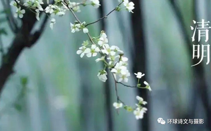 永恒的愛戀，不滅的記憶